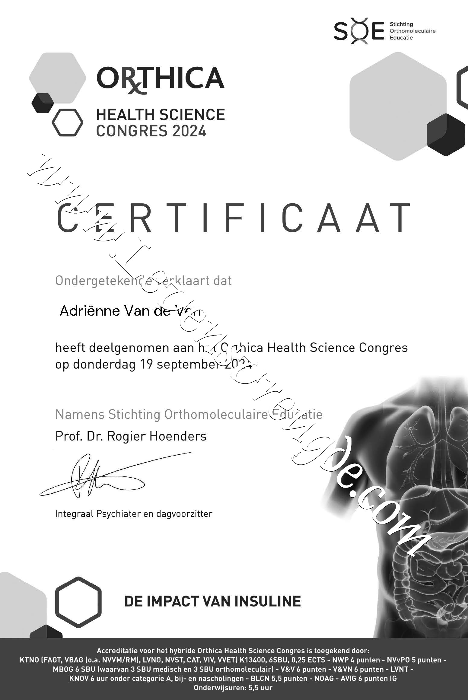 De Impact van insuline - Orthica health science